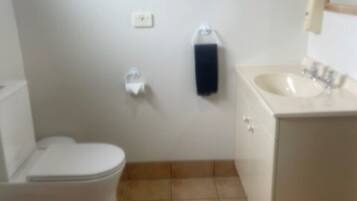 Een kleine badkamer met toilet, wastafel en een zeepdispenser.