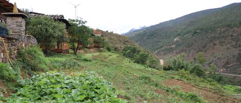 Un paisaje rural con una casa de piedra, exuberante vegetación y un terreno montañoso.