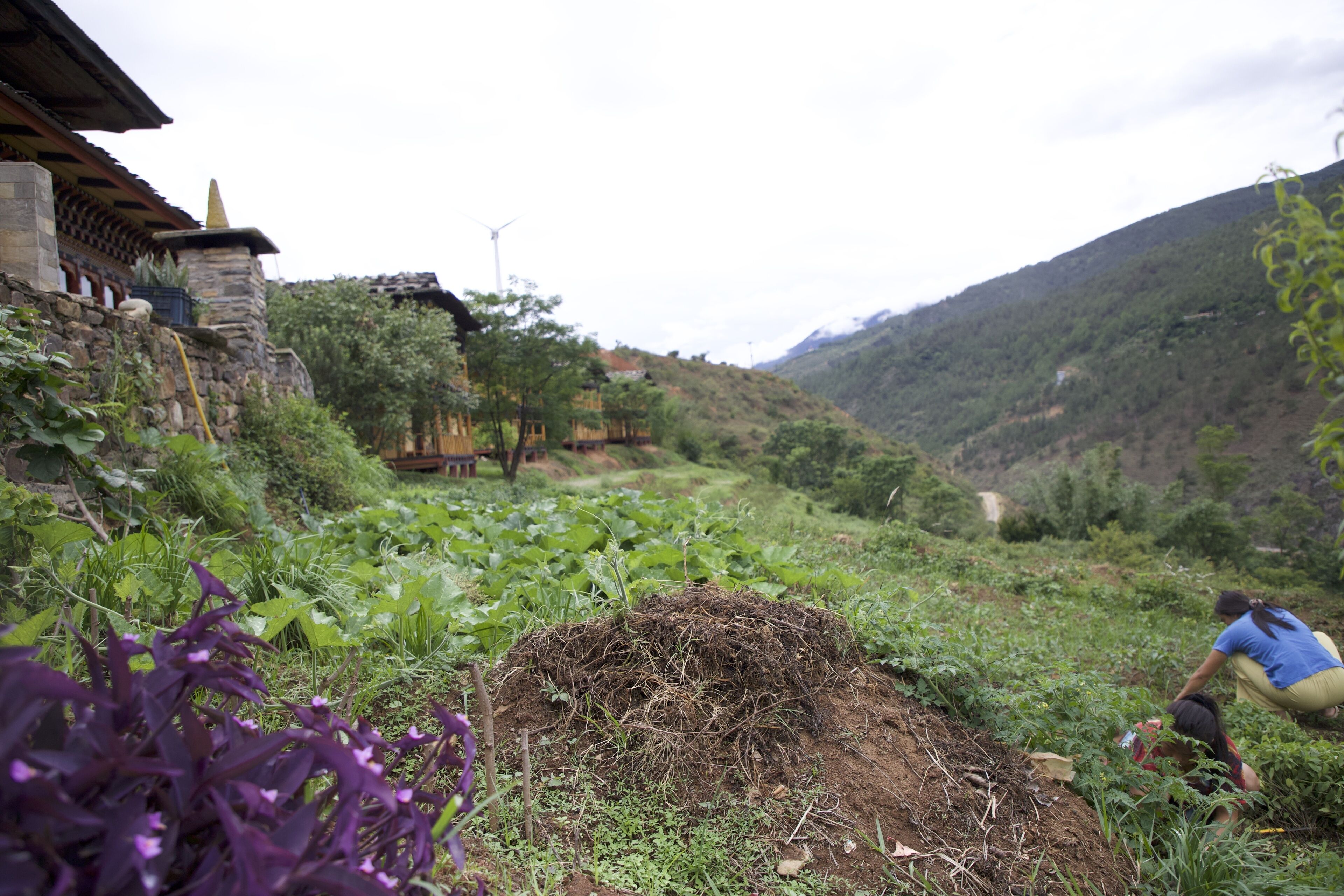 A rural landscape with a stone building, a wind turbine, and a person tending to plants.