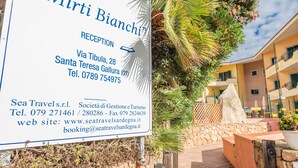 A courtyard with a stone wall, a large rock, and a palm tree.