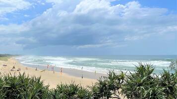 Guests can enjoy the ocean views and relax on the beach surrounded by palm trees.