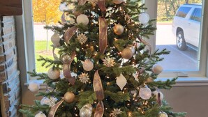 Un árbol de Navidad adornado con adornos y una estrella en la punta, ubicado en una habitación con una ventana que muestra un coche y árboles afuera.