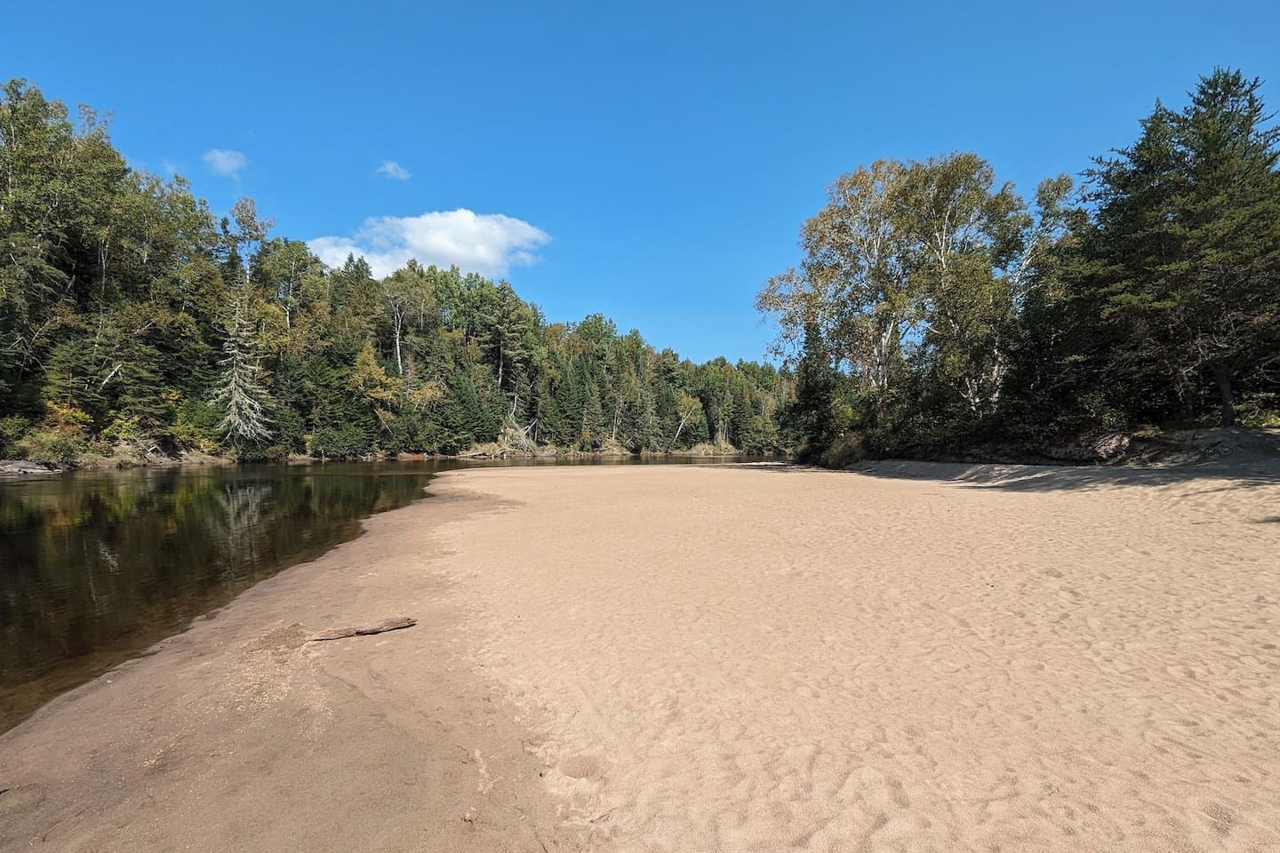 A sandy beach with a calm lake, surrounded by dense forest.