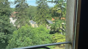 Luxury Twin Room, Park View | View from room