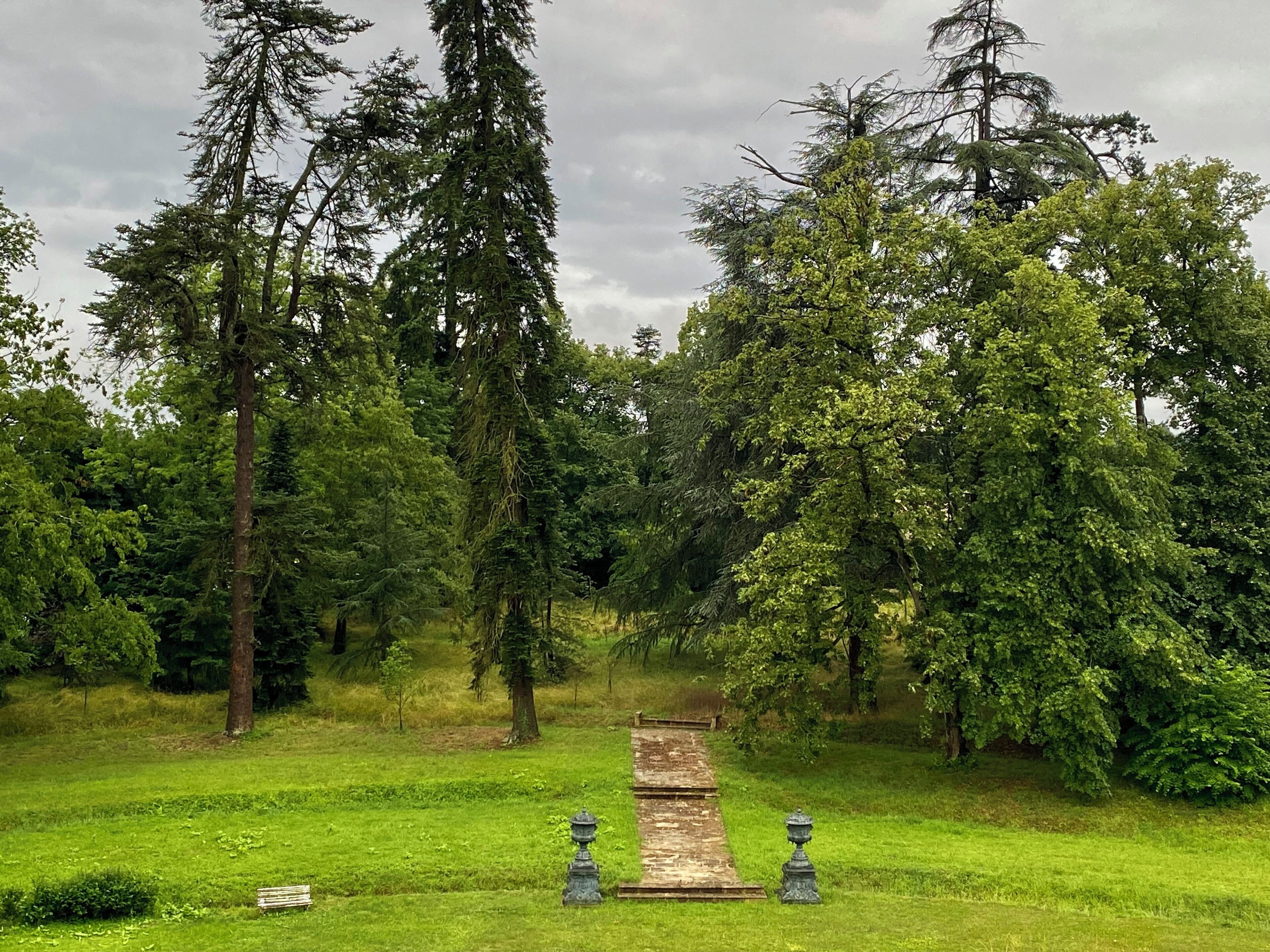Un sentiero che si snoda attraverso un paesaggio verdeggiante, con alberi alti e cielo sereno.