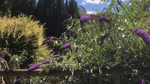 A garden with various plants and trees, including purple flowers and tall coniferous trees. - Secluded stables with parking in grounds of home in the heart of the new forest  (Burley, Nr Ringwood)