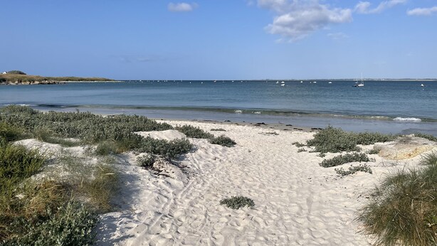 Una playa arenosa con vegetación escasa y un cielo azul despejado.