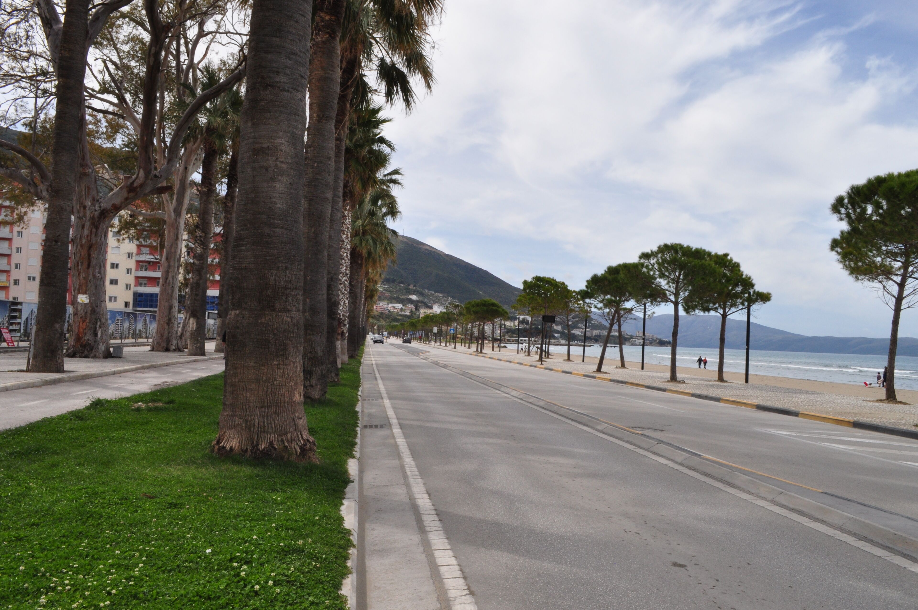 A coastal road lined with palm trees and a beach in the distance.