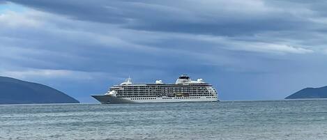 Een groot cruiseschip op kalm water, met een strand en bergen op de achtergrond.