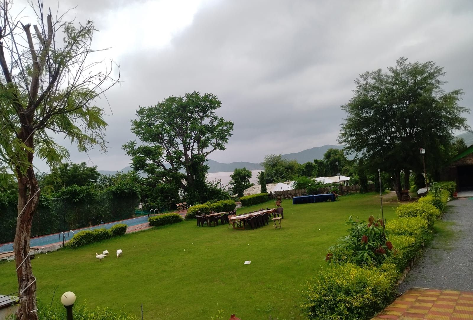 Garden