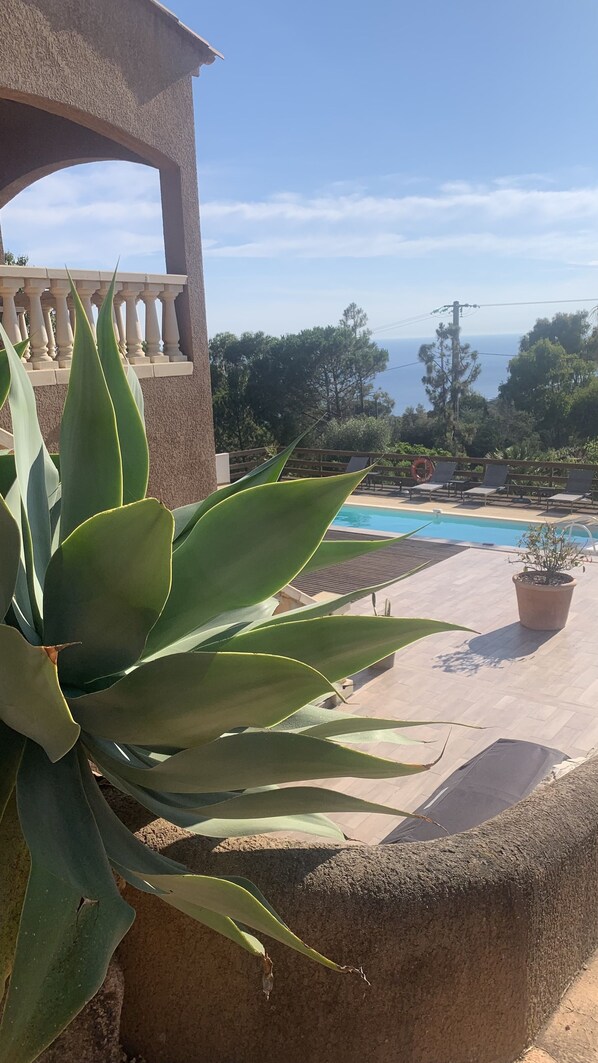 A pool area with a view of the sea, surrounded by greenery and a pergola.
