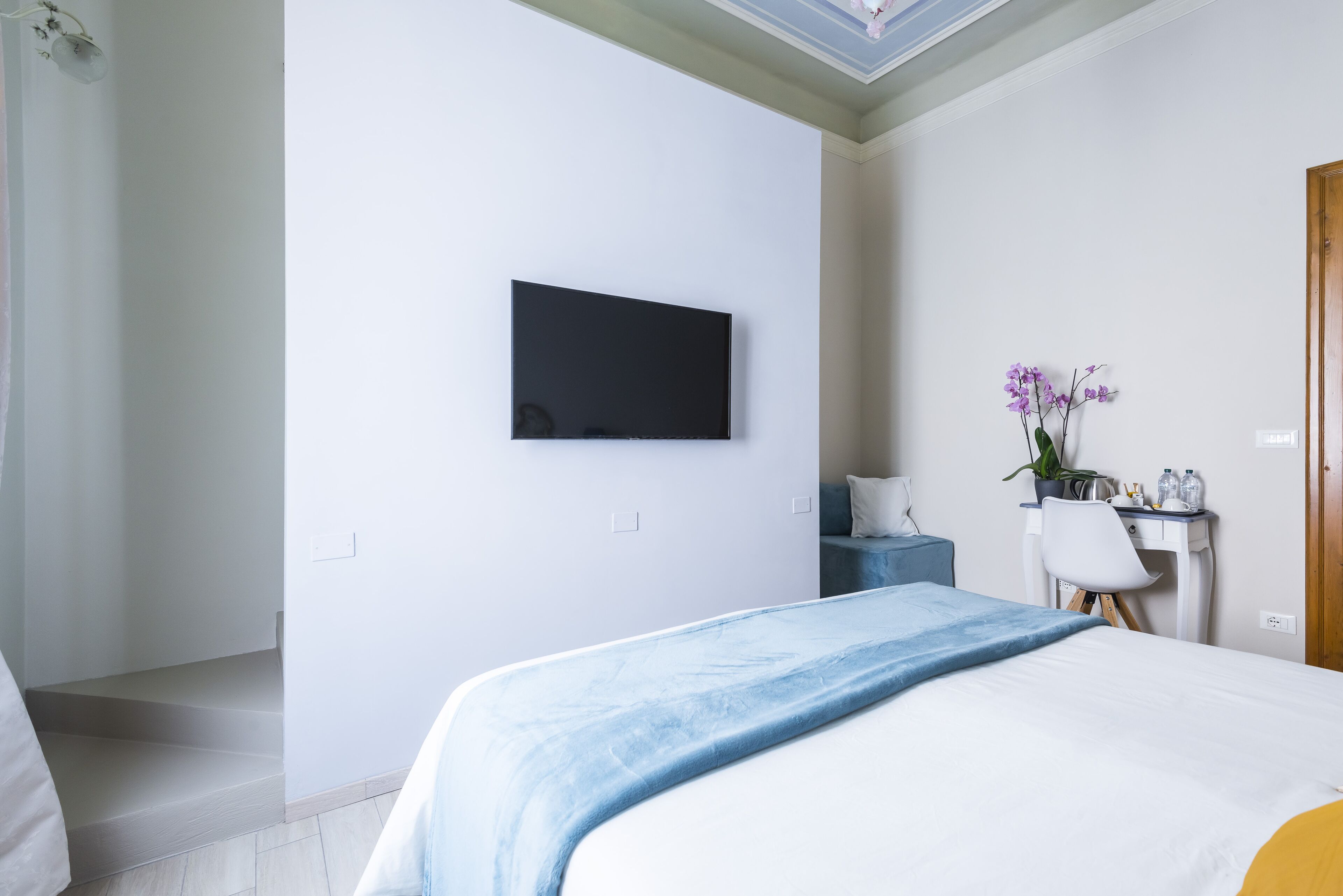 Habitación de hotel con cama, escritorio, silla, televisor montado en la pared y planta en maceta.