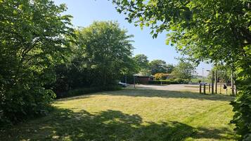 A grassy area with trees and a building in the background.