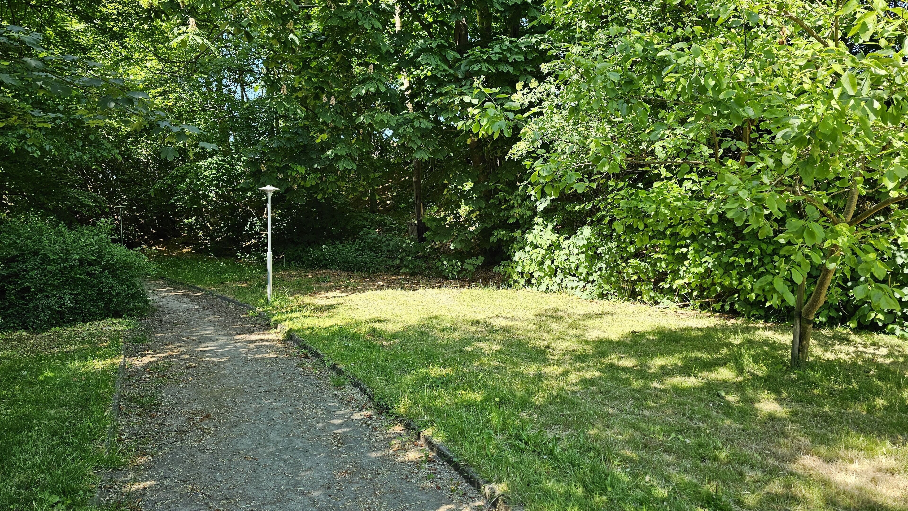 Un sendero pavimentado en un parque, flanqueado por abundante vegetación verde.