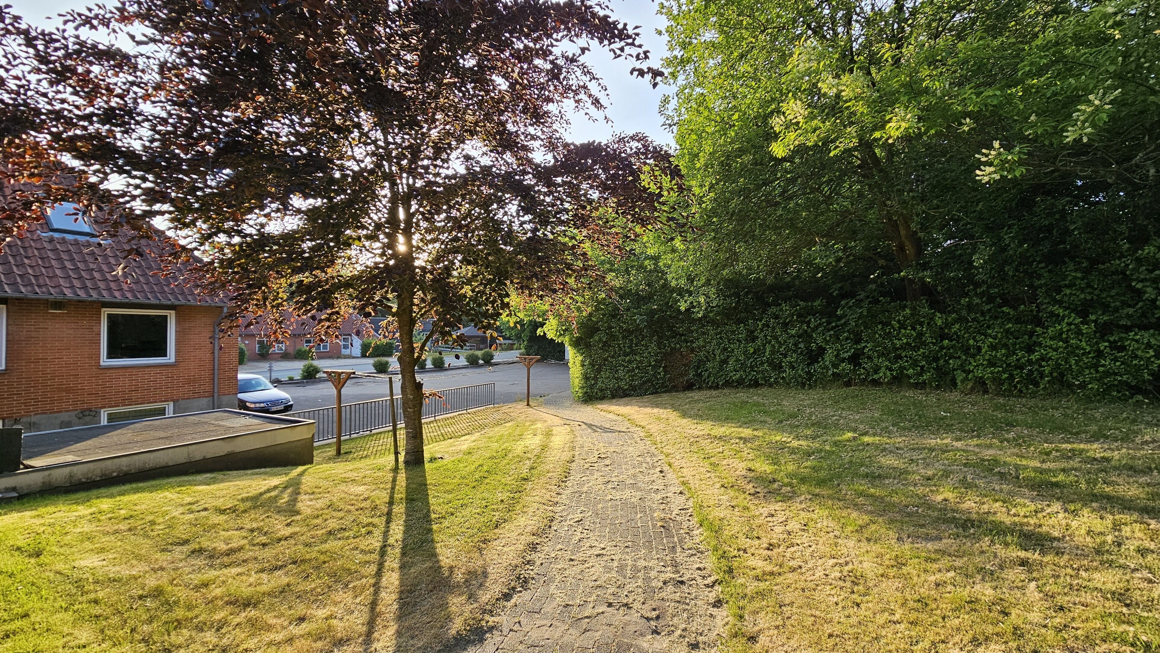 A residential area with a paved path, a brick house, and a hedge.