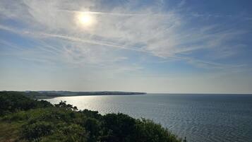 A coastal landscape with a clear sky, a calm sea, and distant land.