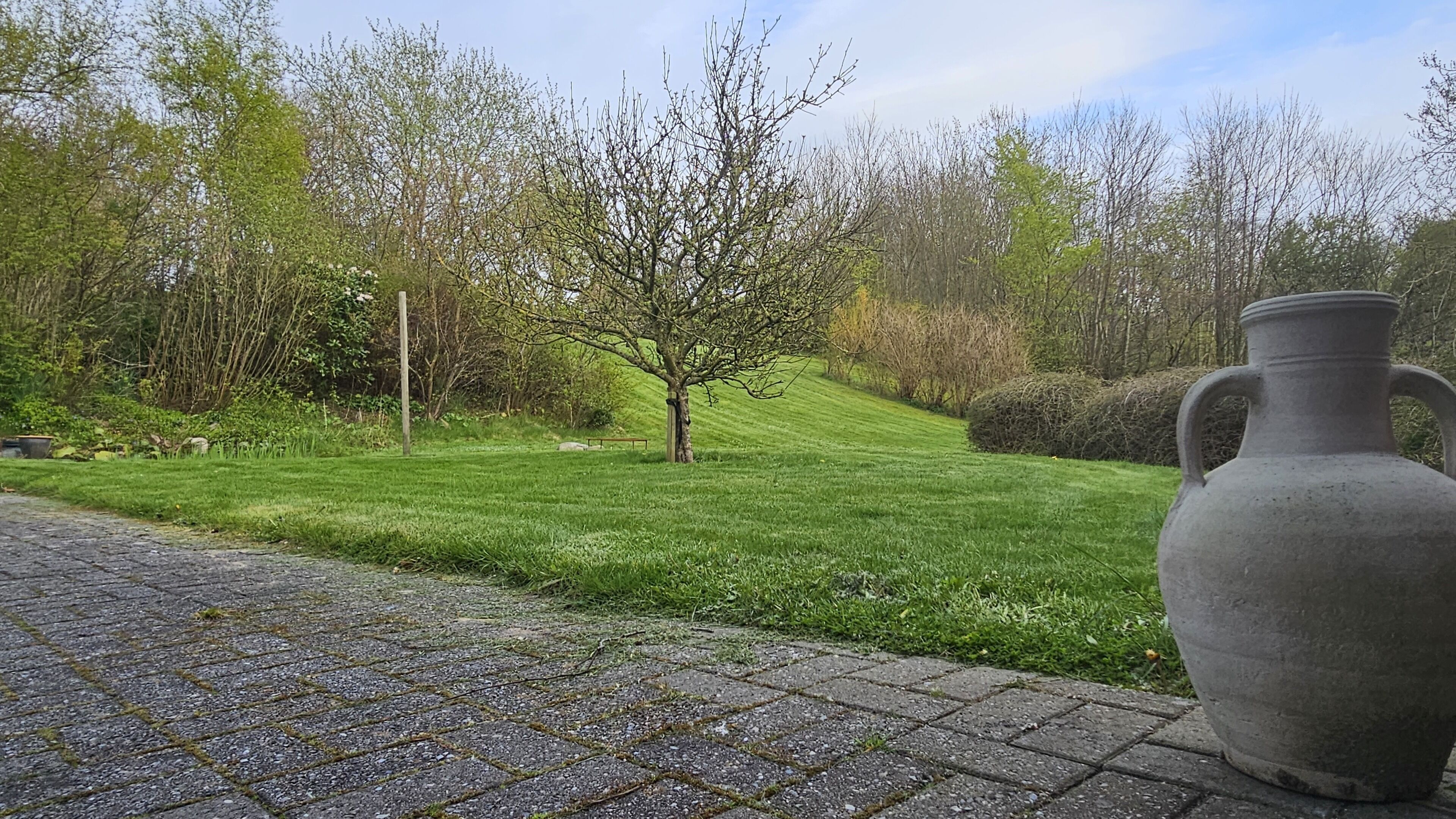 A paved pathway leading to a grassy area with a small tree and a large vase.