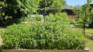 A garden with dense green foliage, a wooden structure, and a small pond. - Gudum Park (Lemvig)