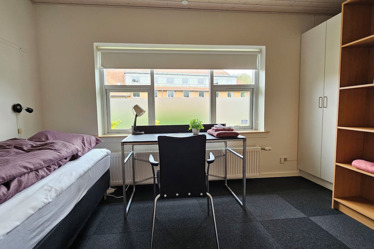 Business Single Room | Desk, laptop workspace, individually decorated, individually furnished