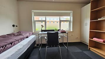 Business Single Room | 1 bedroom, individually decorated, individually furnished, desk