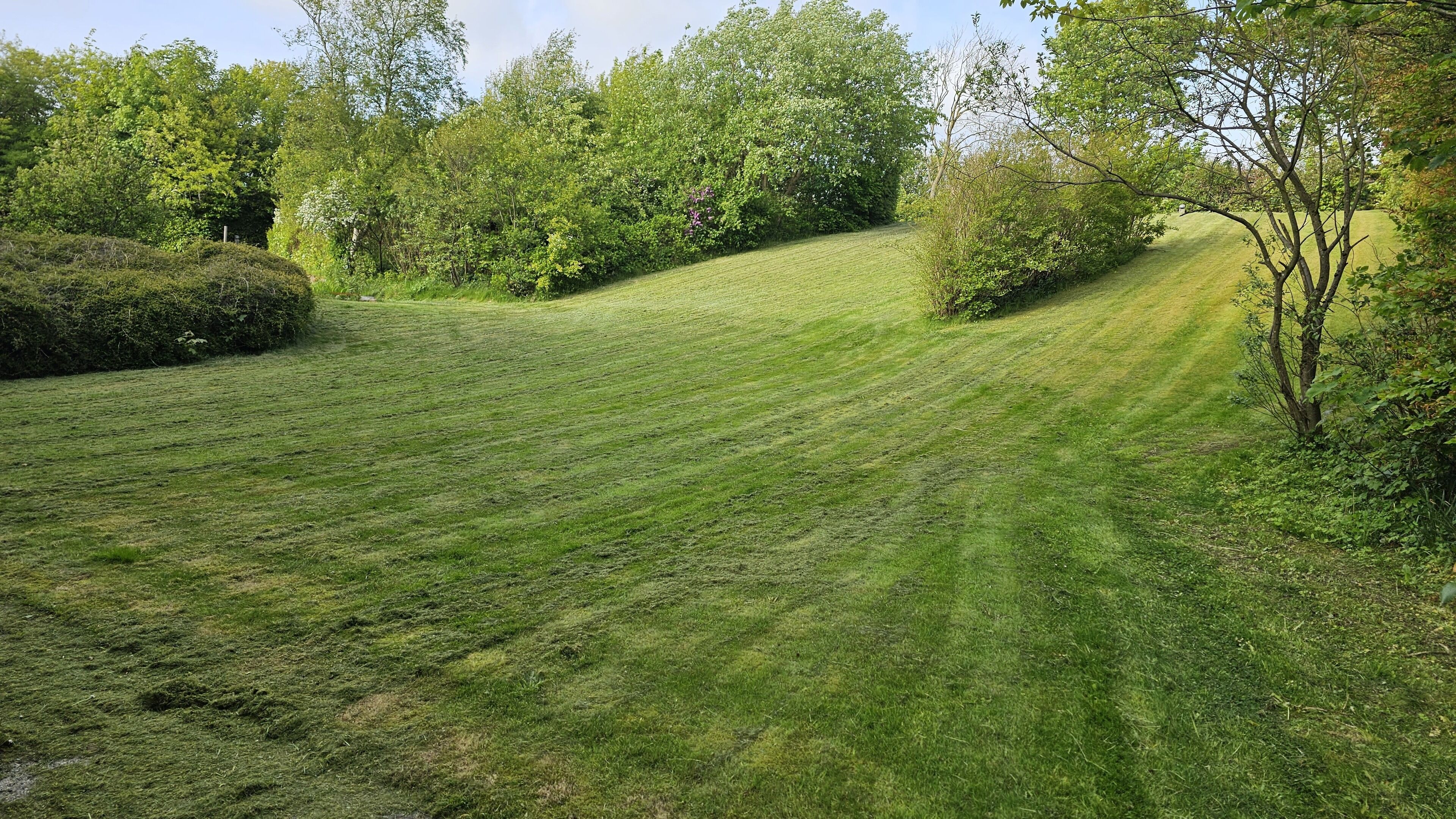 A well-maintained grassy area with rolling hills and dense foliage in the background.