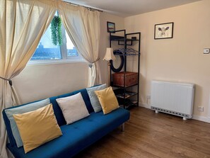 Smart TV, DVD player, books