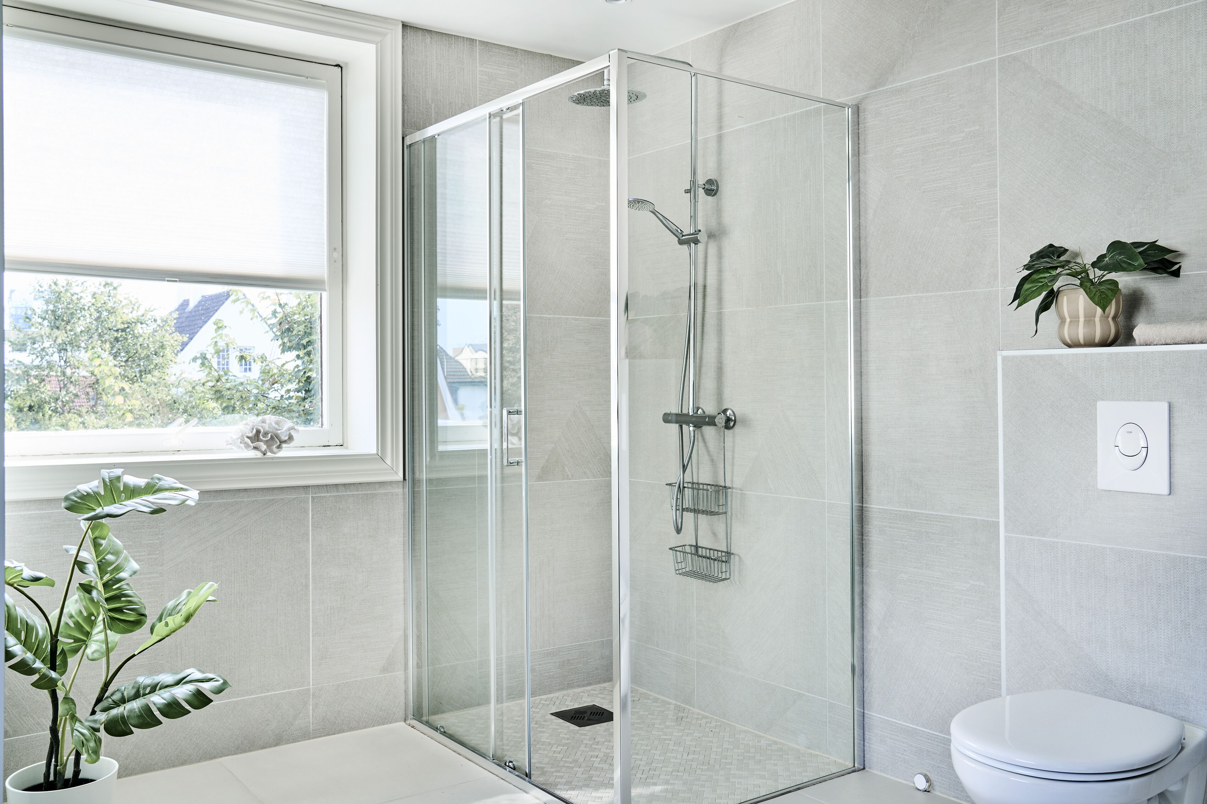 A modern bathroom with a glass-enclosed shower, a toilet, and a potted plant by the window.