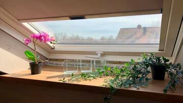 Blick von der Unterkunft