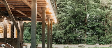 Studio | Property grounds