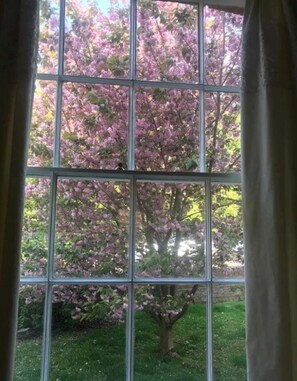 Enjoy a serene view of the lush garden from the comfort of your room.