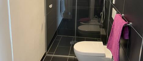 A modern bathroom with a glass-enclosed shower, a white sink, and a toilet.
