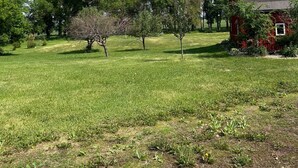 A grassy field with trees and a red barn. - Cozy and quaint farmhouse on an acreage  (Mountain Lake)
