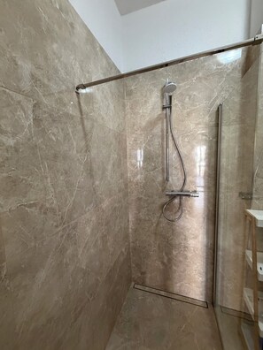 A modern shower with a glass door, a metal showerhead, and a handheld shower attachment.