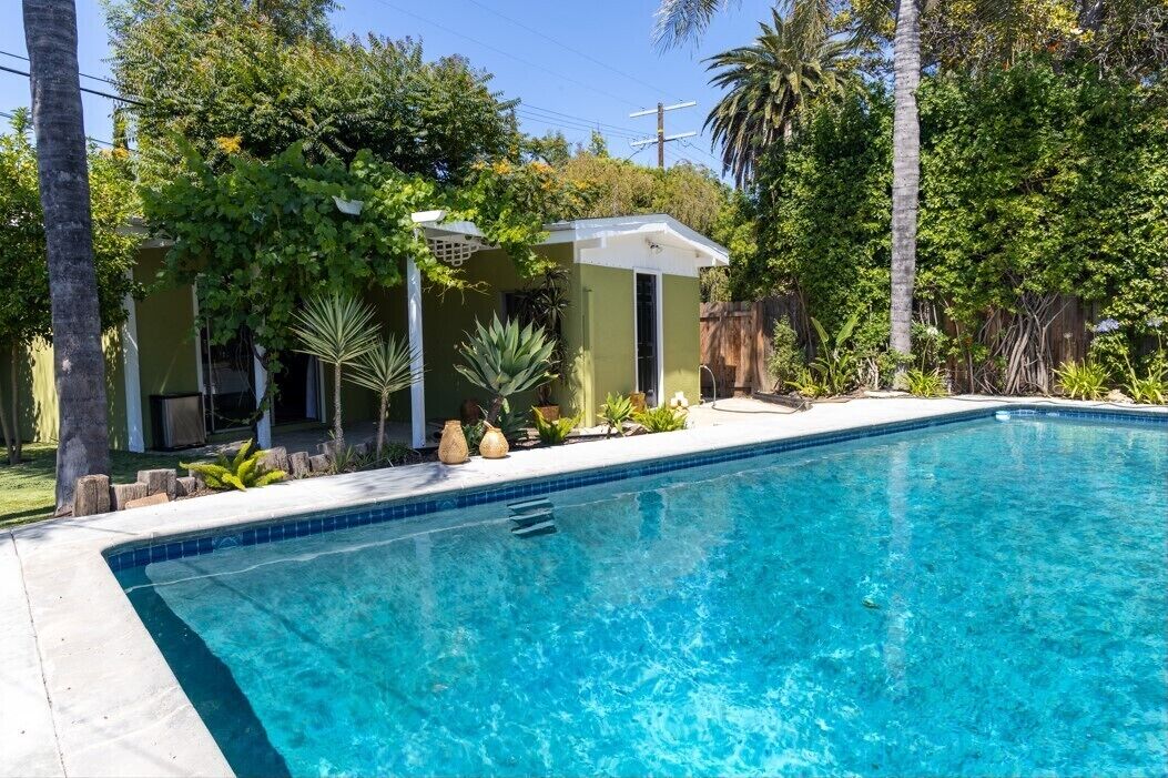 A swimming pool with a tiled edge, surrounded by a concrete deck. There are palm trees and other greenery in the background.