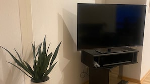 A flat-screen TV on a black stand with a white plant on a small white stool beside it.