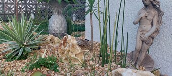 Bohemian gardens