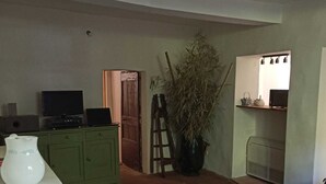 Una sala de estar con televisor, un mueble verde, una planta en maceta y un sillón de mimbre.
