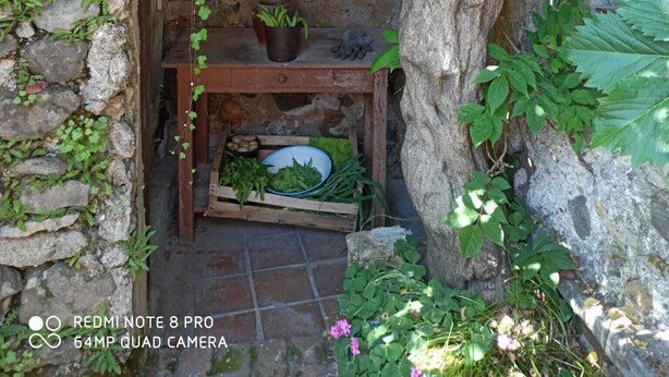 Una pared de piedra rústica con un banco de madera y una planta en maceta.