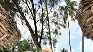 Una spiaggia con una struttura a tetto di paglia, un'amaca e un bar sulla spiaggia.
