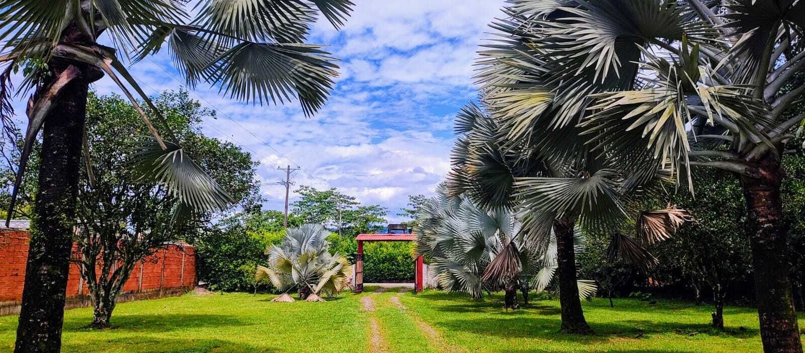 Áreas de la propiedad