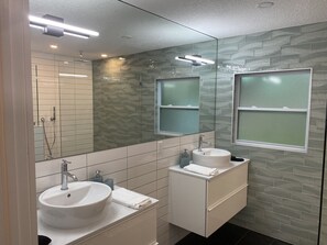 Regadera, secadora de cabello, toallas, papel de baño 