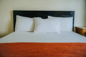 Minibar, in-room safe, iron/ironing board, free WiFi