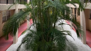 Een meerlaags atrium met een centrale palmboom, omringd door balkons en een rode vloer.