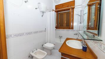 Shower, hair dryer, bidet, towels