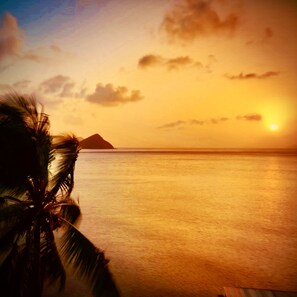 A sunset over a calm sea with a palm tree in the foreground.