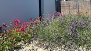 Een modern gebouw met een platte gevel, een houten hek en een tuin met diverse planten en rotsen.