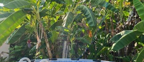 Piscina a l'aire lliure