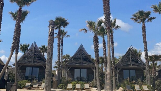 Un complexe hôtelier de bord de mer, doté de nombreux palmiers et de cabanes en bois avec de grandes fenêtres.