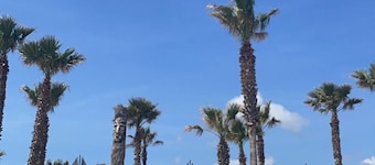 Wunderschöner Sommertraum an der Côte Dazur mit Meerblick