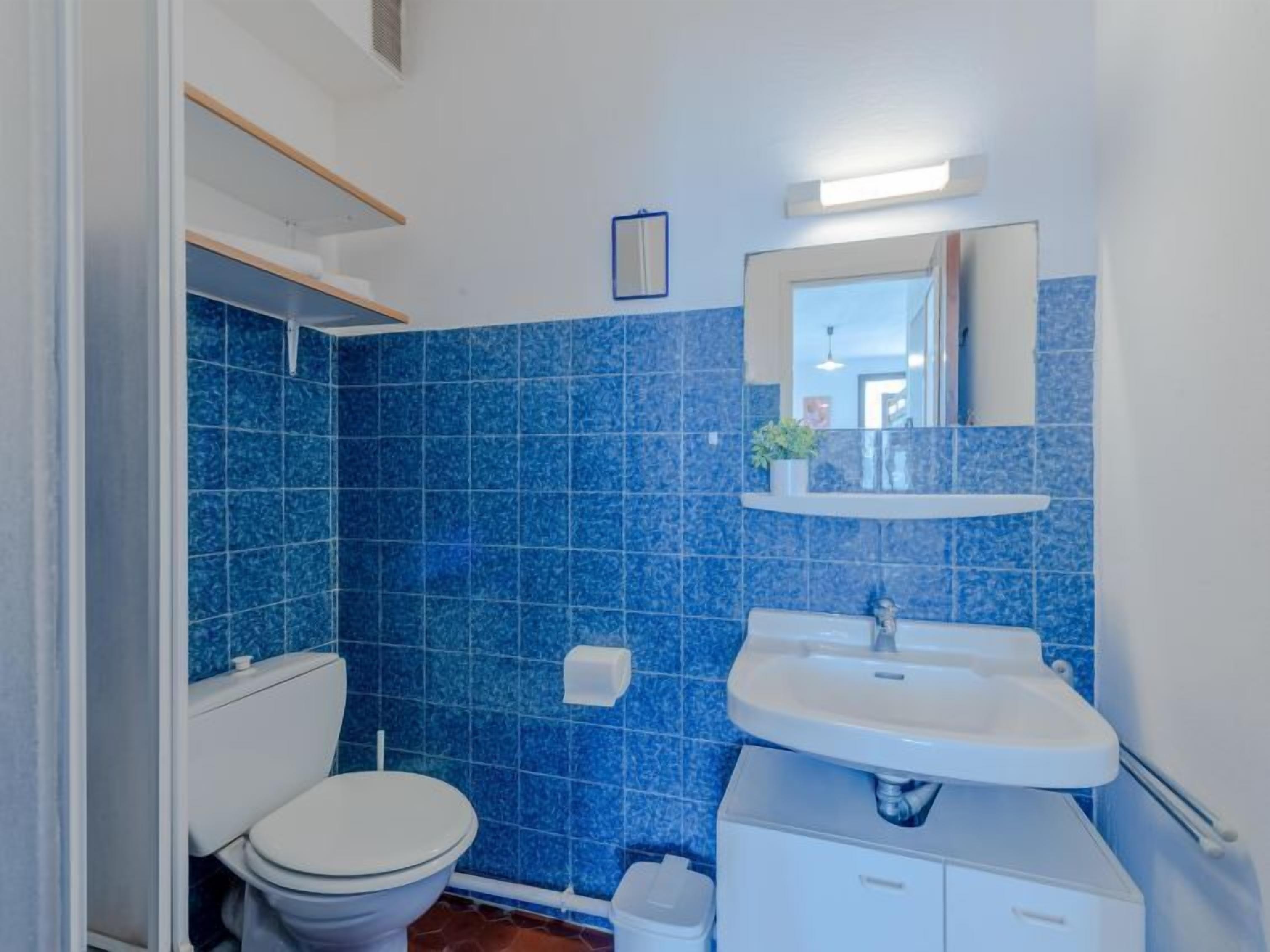 A bathroom with blue tiles, a white toilet, a sink with a mirror, and a small plant on the shelf.